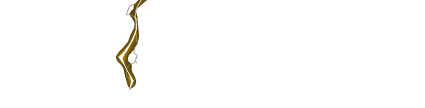 ZEUS838